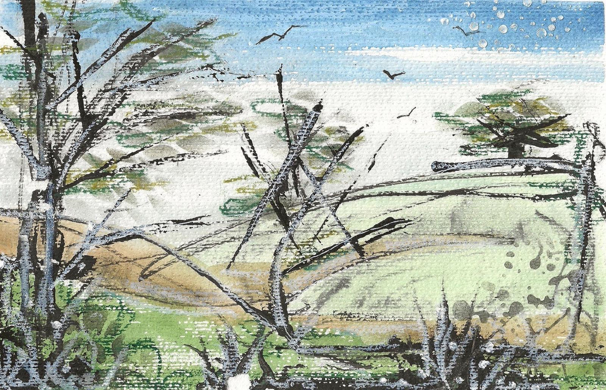 Fields of dreams