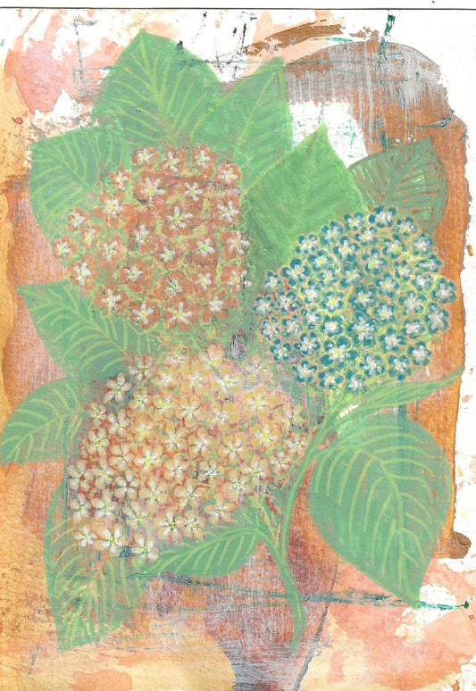 Hydrangeas