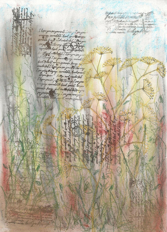 Meadow dreams