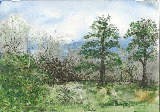 Side of the field