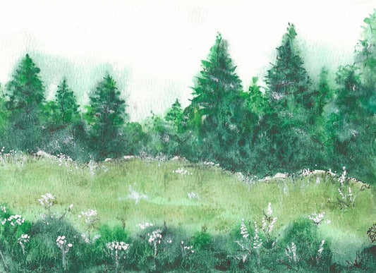The woods
