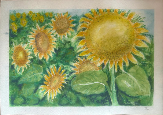 Sunflowers
